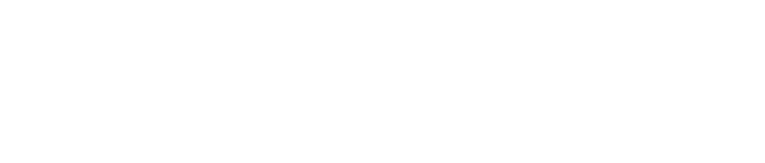 Ovision Lyon - 69007